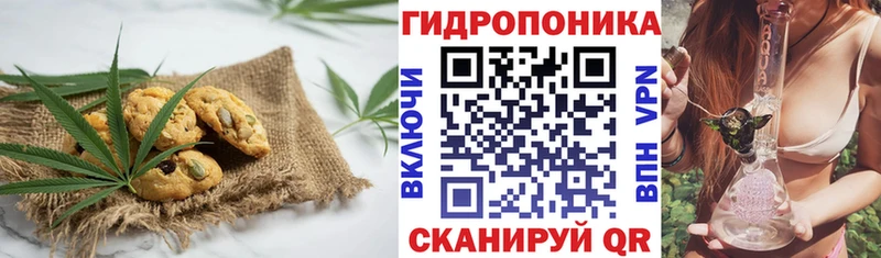 цена наркотик  Электрогорск  Canna-Cookies конопля 