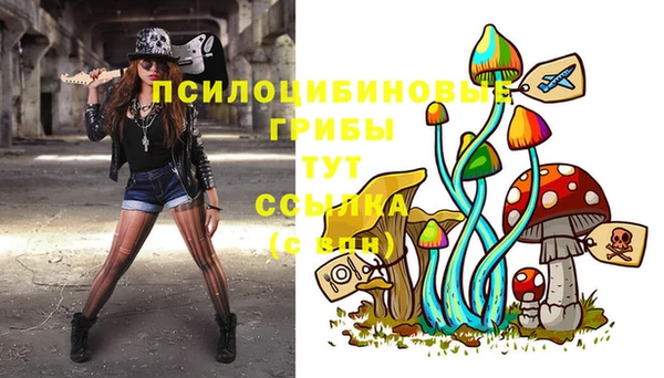 MDMA Premium VHQ Вяземский